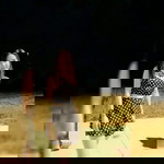 Bow Pawina profile icon