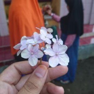 Siti Saripah profile icon