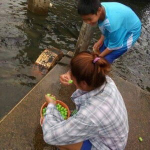 อารยา า. profile icon