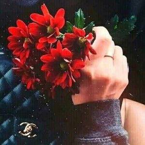 Maya Awalia Adha profile icon