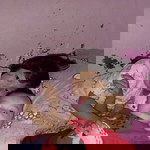 Nur Hidayati Baelah profile icon