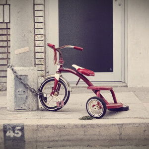 Sultan FN Junior profile icon