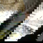 Ummu Rayhan profile icon