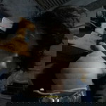 Gabgab Castro profile icon