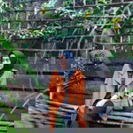 Dalillah ulfah harahap profile icon