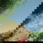 Siti Musrifah Arex Arsonex profile icon