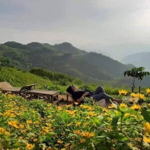 Camille C. Alvares profile icon