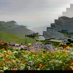 Camille C. Alvares profile icon