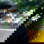 Riska Andi Komara profile icon