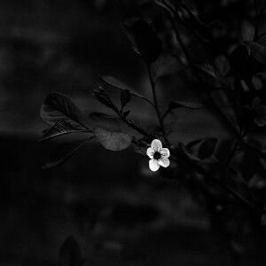 Waty Susilawati profile icon