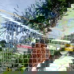 Reynamae Macaranas Pagayunan profile icon