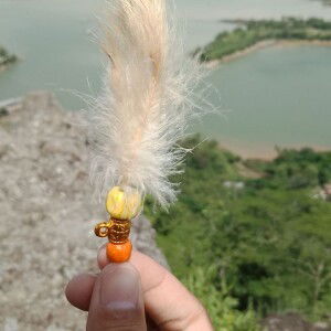 Fataqul Alim profile icon