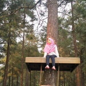 Sulastrii profile icon