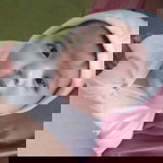 Veryl Alexandria de Vera profile icon