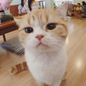 Levi’s mom profile icon