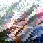 Ana Meiza profile icon