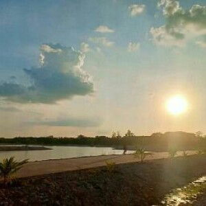 Mint Mint profile icon