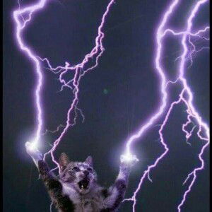 Cikk Ellaa profile icon