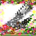 Christofel Lendo profile icon