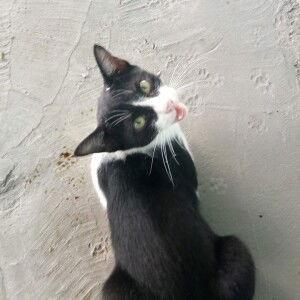 Anuthida Khotprom profile icon