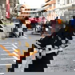 Anis Azlina profile icon