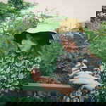 Marin Paraja profile icon