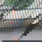 Natali Audi profile icon