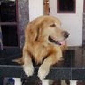 Nattaya Impornmana profile icon