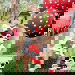 Ruth Balancio profile icon