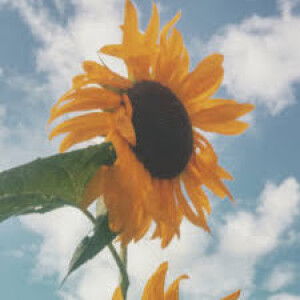 Rkh Alifia profile icon