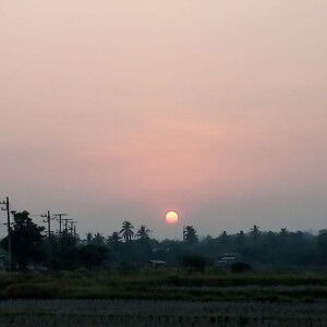 นกน้อย รีไซเคิล profile icon