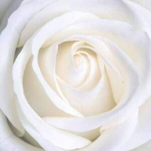 갸갸ㅜ profile icon