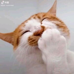 Munnawaroh profile icon