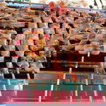 Ploy Zang profile icon