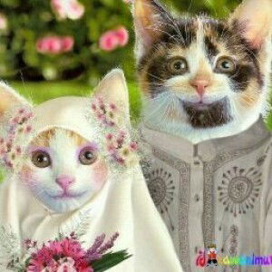 Ainul Mardhiah profile icon