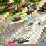 Ainul Mardhiah profile icon