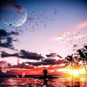 Hon Koh profile icon