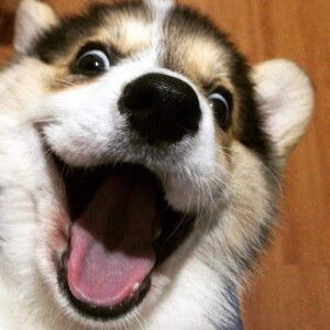 Stacy Quijada-Wright profile icon