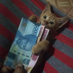 Sopo Jarwo profile icon