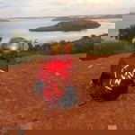 Sri Purwanti profile icon