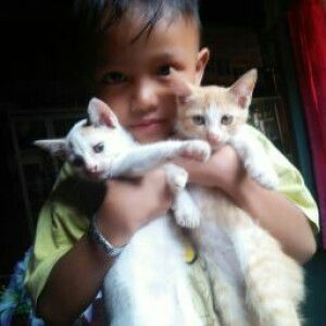 Liny Rtn profile icon