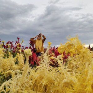 Dewi AstriNi profile icon