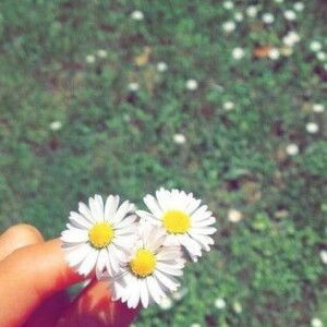 Yuliana Dewi profile icon