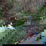 Sofie Oppifhi profile icon