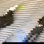 มายด์ เด้อออออออ profile icon