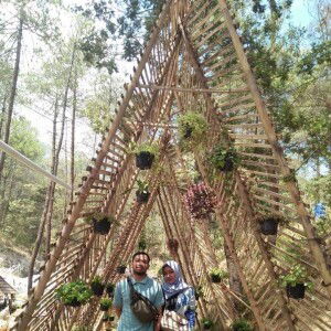 Windha Aiyu profile icon