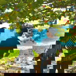 Haryanti Taufiq profile icon