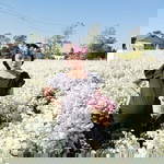 Worachanya Jongau profile icon