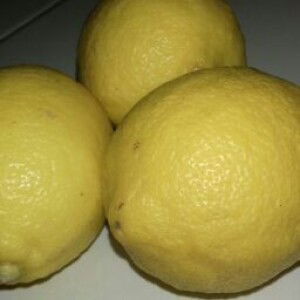 Luthfia Afifah profile icon