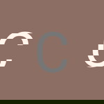 Charlotte Choo profile icon